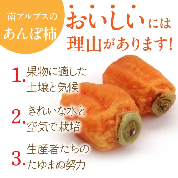 ＜2026年発送先行＞あんぽ柿【百目柿】［1個入り×12パック］ ALPAA019