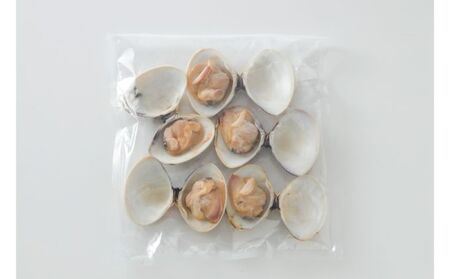 焼きはまぐり 魚貝類 九十九里産 蛤 焼きはまぐり【800g】