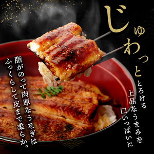 うなぎ 串蒲焼き 5尾 小分け 詰め合わせ 冷蔵 うなぎ