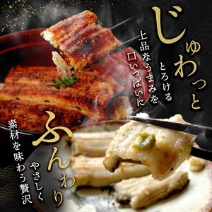 国産 うなぎ 長蒲焼き ＆ 白焼き 計4尾 食べ比べ 鰻 冷蔵 浜松 浜名湖産 やまぶき
