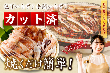 スルメイカ一夜干し（200g×6袋） 計1.2kg イカ 干物 【005_0118】