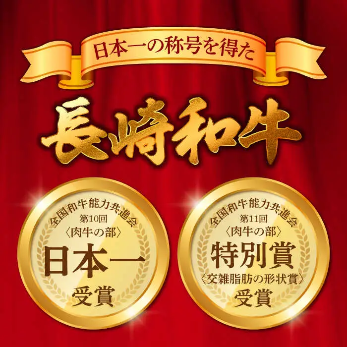 【12回定期便】【やわらかな赤身と口どけまろやかな脂身】長崎和牛 サーロインステーキ 400g 2人前（200g×2枚）/ 牛肉 ステーキ サーロイン / 南島原市 / ふるさと企画 [SBA034]