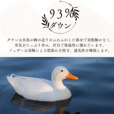 【超長綿100%】羽毛掛け布団クイーン二枚合わせ超長綿使用一年使用可能ダウン93%防臭防ダニ【1406759】