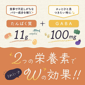 【定期便】6ヶ月連続お届け 毎回10食分お届け オニオンポタージュ味 プロテイン11g GABA100mg 粉末プロテインスープ ダイエットスープ 温活 持ち運び 個包装　10食×6袋 154-018