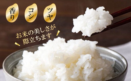 壱岐産 山信米 5kg《壱岐市》【イキテイク合同会社】 穀物 精米 白米 [JFG001] 25000 25000円 のし プレゼント ギフト 九州
