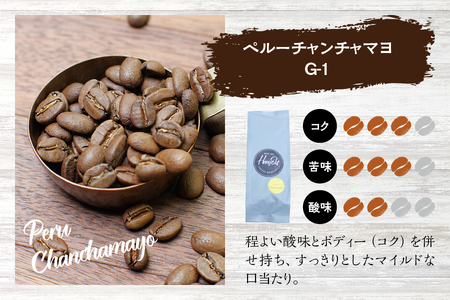 【挽き立て】（チャンチャマヨ）ドリップバッグコーヒー10袋セット コーヒー豆 焙煎 コーヒー セット ドリップコーヒー【hgo004-05】