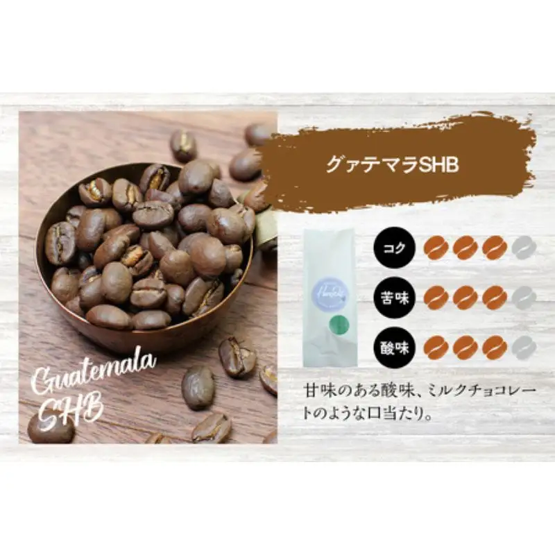 【挽き立て】（グァテマラ）ドリップバッグコーヒー10袋セット コーヒー豆 焙煎 コーヒー セット ドリップコーヒー【hgo004-07】