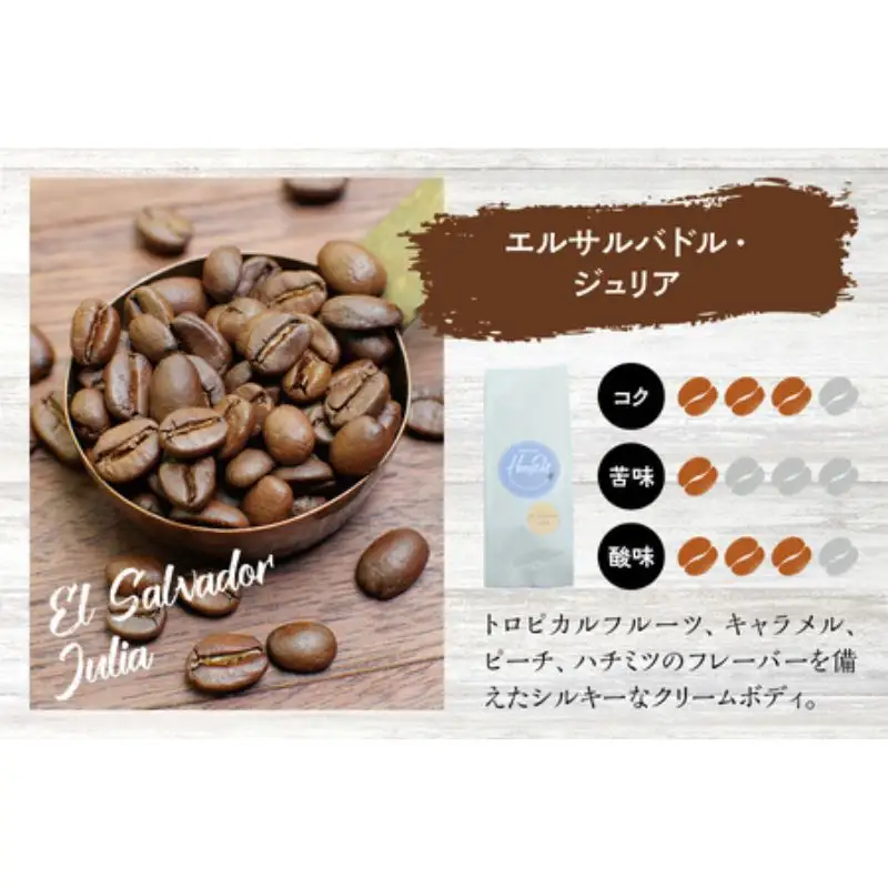 【挽き立て】（エルサルバドル）ドリップバッグコーヒー10袋セット コーヒー豆 焙煎 コーヒー セット ドリップコーヒー【hgo004-09】