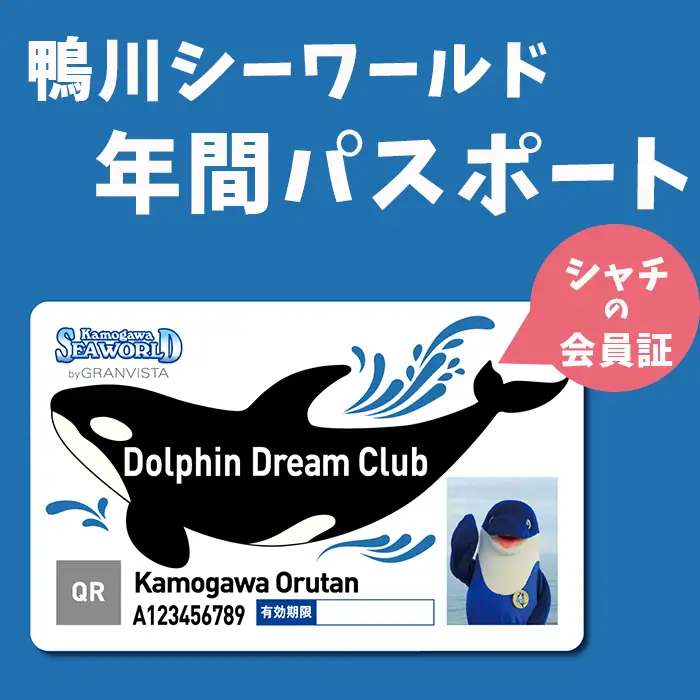 【鴨川シーワールド】年間パスポート／シニア（65歳以上） １名様　[0036-0004]