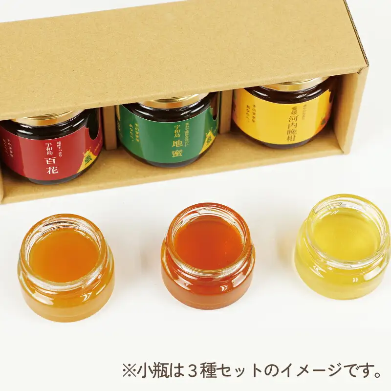 国産純粋はちみつ 嵐 の はちみつ 天然 100％ 3種 セット 百花蜜 地蜜 河内晩柑 みつばち屋嵐  F022-129001