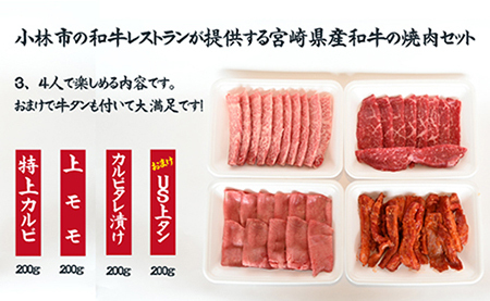 【おまけ付き】宮崎県産和牛焼肉ファミリーセット 焼肉 和牛 焼肉セット 国産焼肉セット 牛肉 牛肉セット和牛セット