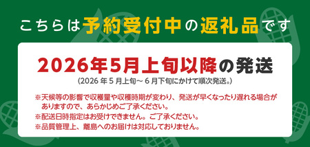 【ふくおかエコ農産物認証】農家直送！SDGs米糠堆肥で作ったベビーコーン50本【2026年5月より順次出荷】_ふくおかエコ農産物 2026年5月より順次出荷 農家直送 ベビーコーン とうもろこし 50本 メロンより 甘い プレミアムコーン シャキシャキ 食感 旬の味 八宝菜 サラダ 野菜 オーブン焼き レンチン お取り寄せ 酒見農産 福岡県 久留米市 送料無料 〔Gv036〕