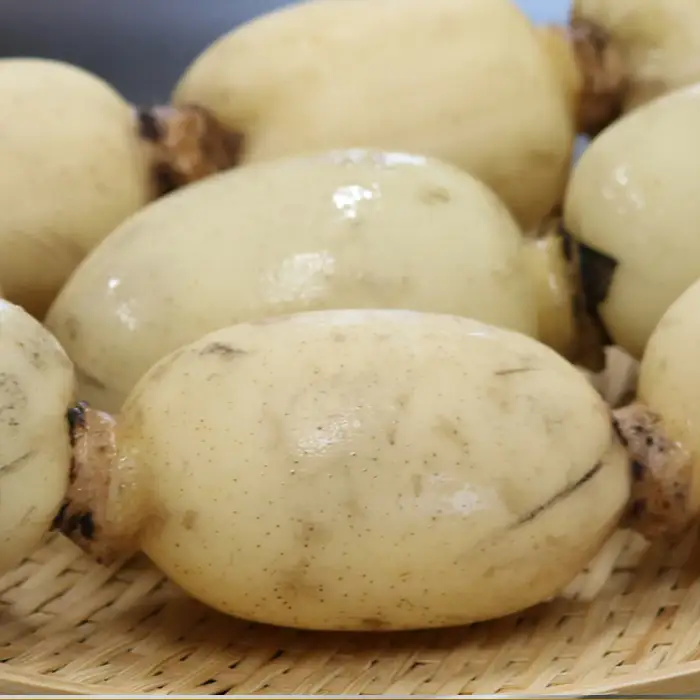 【きれいな水の棚田育ち】シャキっと甘い『鴨川サラダれんこん』 4kg [0014-0028]