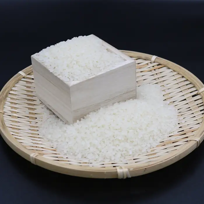 【令和7年産】嶺南ファームの嶺岡米「コシヒカリ」5kg [0017-0025]