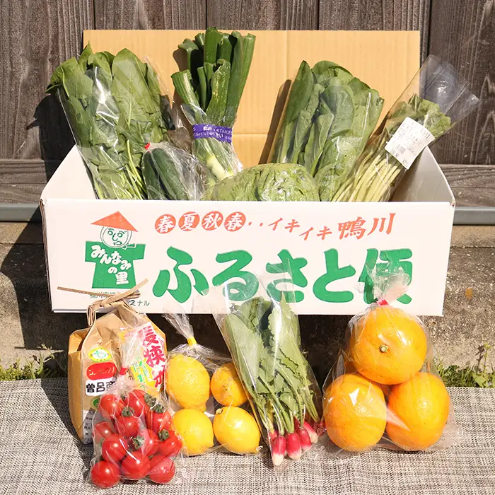 【鴨川直送ふるさと便】季節の野菜＆果物詰合せ [0015-0043]
