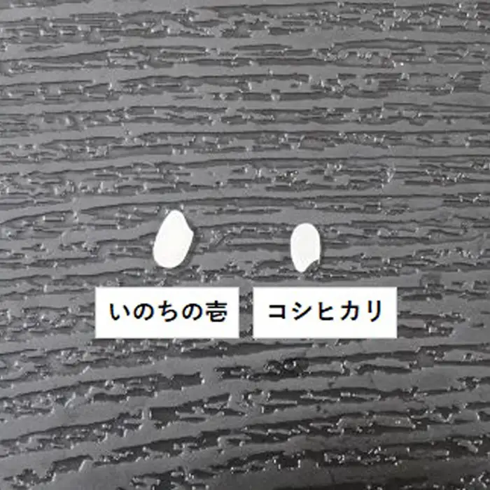 【令和8年産】嶺南ファームの嶺岡米「いのちの壱」 5kg　[0020-0103]