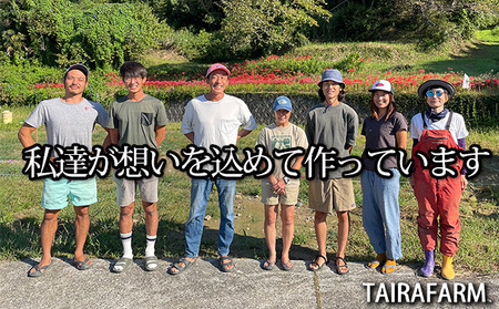 120-7　タイラファームの冷凍イチゴたっぷり3㎏！フルーティーな香りの　きらぴ香　ぱくぱく食べやすい小粒サイズ