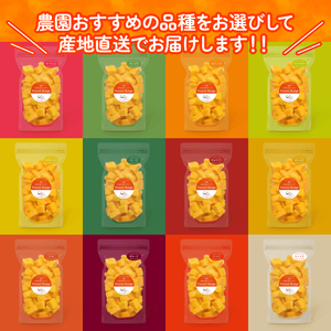 冷凍 完熟 マンゴー 500g マンゴー