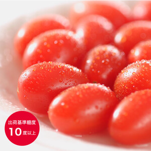 アメーラ ミニトマト ルビンズ 5P ミニトマト