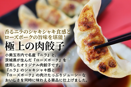 【数量限定】 ニラたっぷり肉餃子 4袋 肉餃子30個×4袋 120個 ニラ ぎょうざ ギョウザ 餃子 ニラ にら ローズポーク 豚肉 小美玉産 茨城県産 名産 冷凍 17-AB