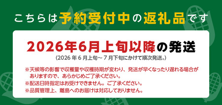 【ふくおかエコ農産物認証】農家直送！SDGs米糠堆肥で作った博多あまっコーン4.5キロ以上（10～15本）【2026年6月より順次出荷】_ふくおかエコ農産物 2026年6月より順次出荷 とうもろこし 博多あまっコーン 約 4.5kg 以上 10本 ? 15本 プレミアムコーン 粒が大きい 食べ応え 美味しい 糖度 野菜 お取り寄せ 福岡県 久留米市 送料無料 〔Gv035〕