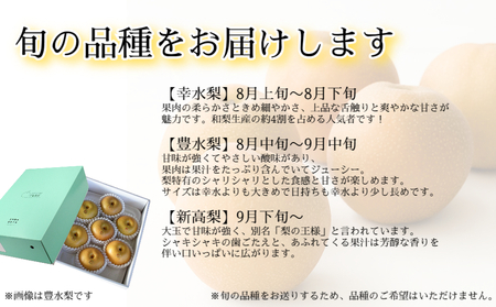 【 予約受付中・2026年8月中旬頃より順次発送 】うずしおペアー 2.5kg 国産梨 フルーツ 甘い 幸水 豊水 新高 梨 ナシ