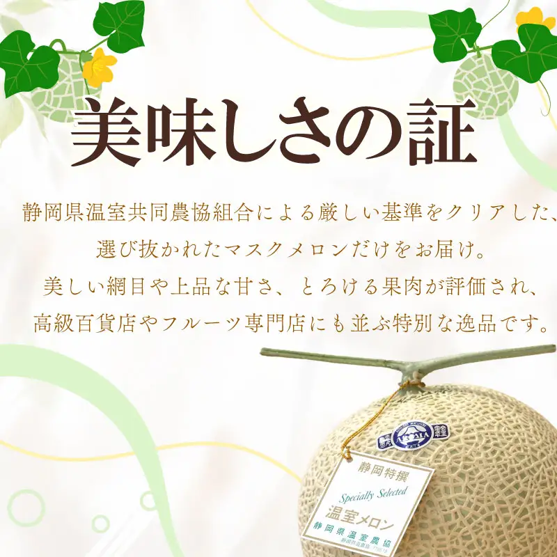 【通年出荷】 高級 マスクメロン 白級 1玉  化粧箱入  化粧箱入 贈答用 牧之原市 静岡県 牧之原うまいもん食楽部