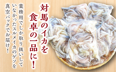 対馬産 スルメイカ ゲソ 2.5kg  [WAE009] イカゲソ スルメイカ げそ いか 天ぷら するめいか  