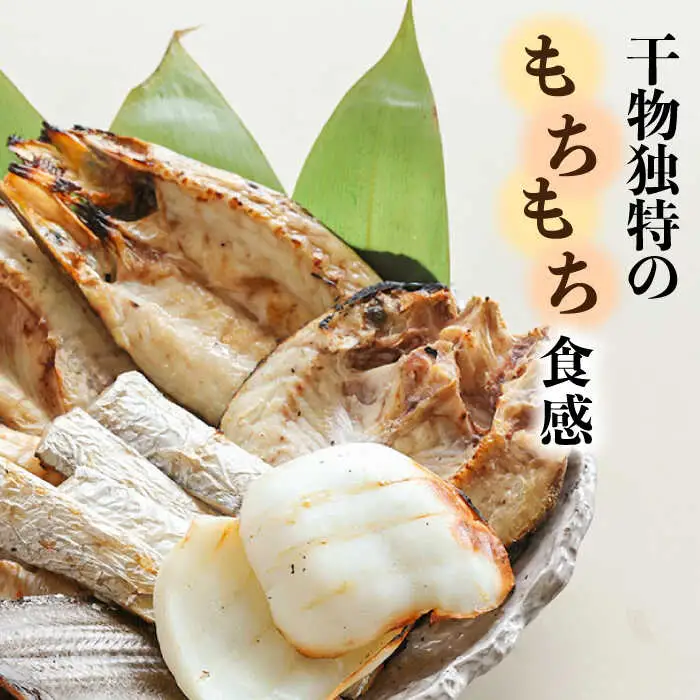 【職人の技】旬の干物 詰め合わせ 3-4種（6-8パック） / 魚 干物 干もの セット  / 南島原市 / ながいけ [SCH048]
