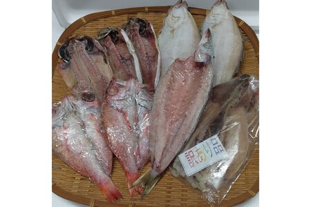 【訳あり品付き】じゅわっと！とろける♪絶品のどぐろと選べる干物セット 魚介類 魚貝類 魚 干物 干もの のどぐろ 選べる カレイ 蓮子鯛 【033_1783】