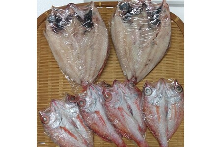大きなのどぐろが絶対入る！のどぐろ詰め合わせセット のどぐろ 魚介 おかず おつまみ 大容量 たっぷり ふるさと納税 のどぐろ ふるさと納税 干物 【033_1782】