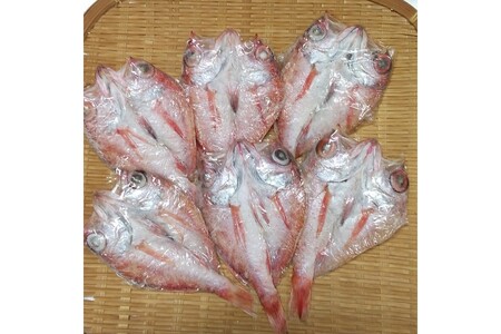絶品！旨とろ のどぐろ 干物 5～8枚入り（総重量：500g以上） 魚介類 魚 ノドグロ 冷凍 【033_1781】