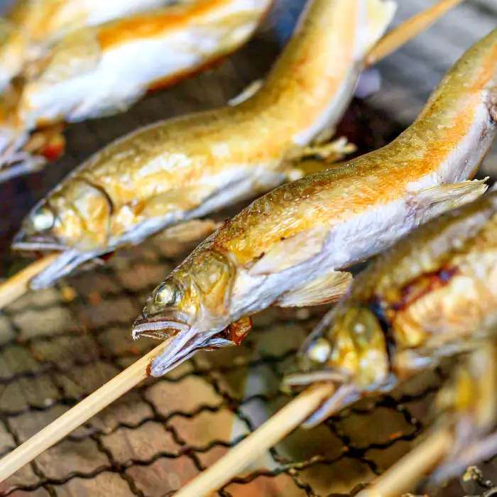 【一級河川・江の川の恵み】島根県産　天然冷凍鮎　約800g