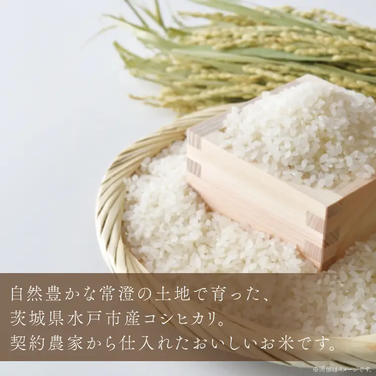 令和6年産 茨城県水戸市常澄産コシヒカリ みと米（EX-2）