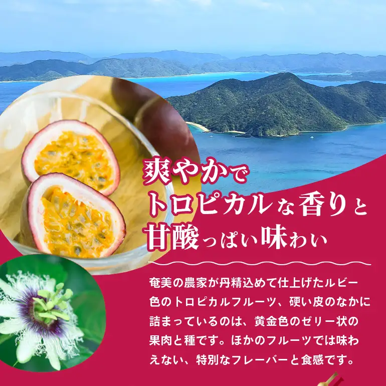 【2026年 観光雑誌付き】奄美産パッションフルーツ 贈答用化粧箱入り 世界自然遺産の島の贈り物 約1kg 12個入（フルーツキャップ付き） A052-005