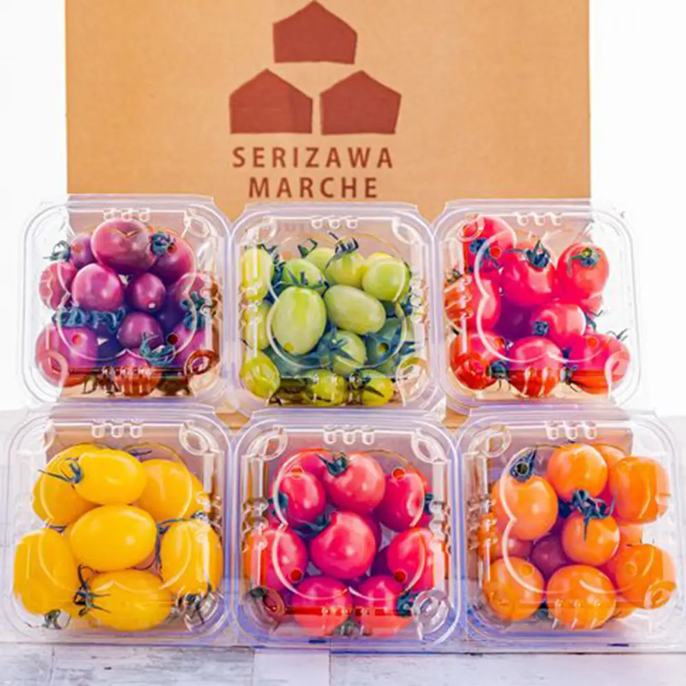 御殿場プチトマト ミックス6パック（約1.2kg） ※2027年3月～発送