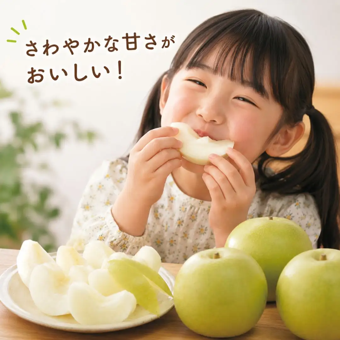 先行予約 和梨 二十世紀 5kg [9月中旬~順次発送予定] 新潟県産 二十世紀 梨 [岩福農園] 