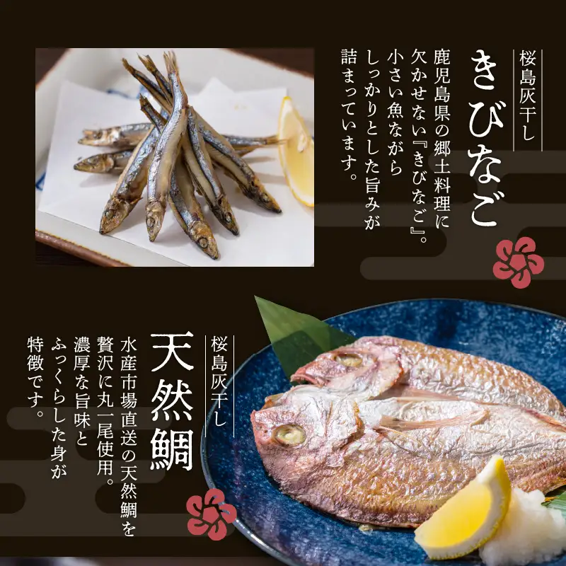 桜島灰干し 5種詰合せ K178-001 魚 冷凍