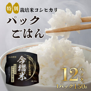 JA北越後特別栽培米コシヒカリ（今摺米パックごはん12個） パックご飯 パックご飯 パックご飯 パックご飯 パックご飯 パックご飯 D66 