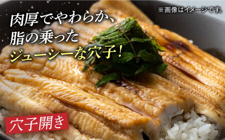 【全3回定期便】対馬 穴子 セット 500g [WAD038]煮穴子 白焼き あなご アナゴ