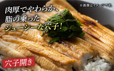 【全6回定期便】対馬 穴子 セット 500g [WAD039] 煮穴子 白焼き あなご アナゴ