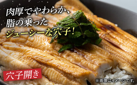 【全6回定期便】対馬 穴子 W セット 1kg [WAD042] 煮穴子 白焼き あなご アナゴ