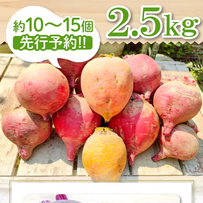 【季節限定品】あまくて真っ赤なビーツ2.5㎏【ビーツ 食べる輸血 奇跡の野菜  健康野菜 スーパーフード カエンサイ ボルシチ ポタージュ スムージー スイーツ ビタミン】