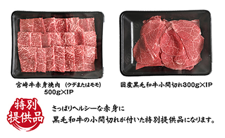 【特別提供品】宮崎牛お任せ赤身焼肉と黒毛和牛小間切れセット 計800g（国産 黒毛和牛 宮崎牛 ブランド牛 焼肉用 こま切れ）