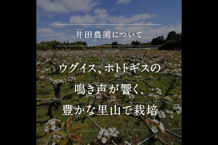 鳥取県南部町産　井田農園のあたご[梨]（2.5kg箱）＜11月下旬～出荷開始＞　氷温保存