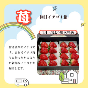 船橋産フルーツ定期便（3品目）　梨 豊水 シャインマスカット イチゴ エコチョク