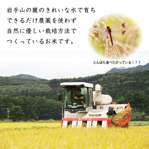 岩手県産 ひとめぼれ 精米 5kg 2袋 総量 10kg 12ヶ月 定期便 【わかふじ農産】 白米 米 お米 こめ コメ ライス ご飯 ごはん 贈り物 単一原料米 国産 仕送り お取り寄せ 産地直送 農家直送 数量限定 出荷日精米 人気 おすすめ 5キロ 10キロ 12カ月 12か月 12ヵ月 12ケ月