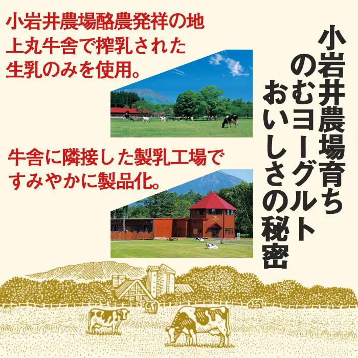 小岩井農場育ち のむヨーグルト 500ml×6本 ／ 乳製品 ヨーグルト ドリンク おすすめ 濃厚 濃い 小岩井農場 農場育ち 醗酵乳 ソフトドリンク デザート スイーツ 感覚 喜ばれる お取り寄せ プレゼント ギフト 家庭用 自宅用 人気 冷蔵発送 国産 飲料 飲み切り 飲みきりサイズ