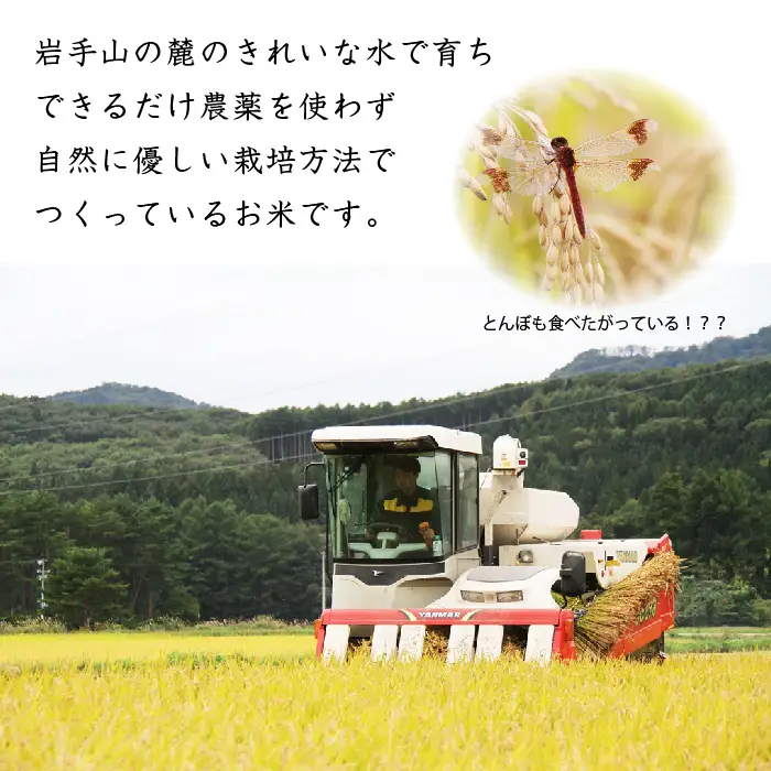 ＼在庫限り／ 令和7年度産 わかふじ農産のあきたこまち 精米 10kg1袋｜数量限定300個！