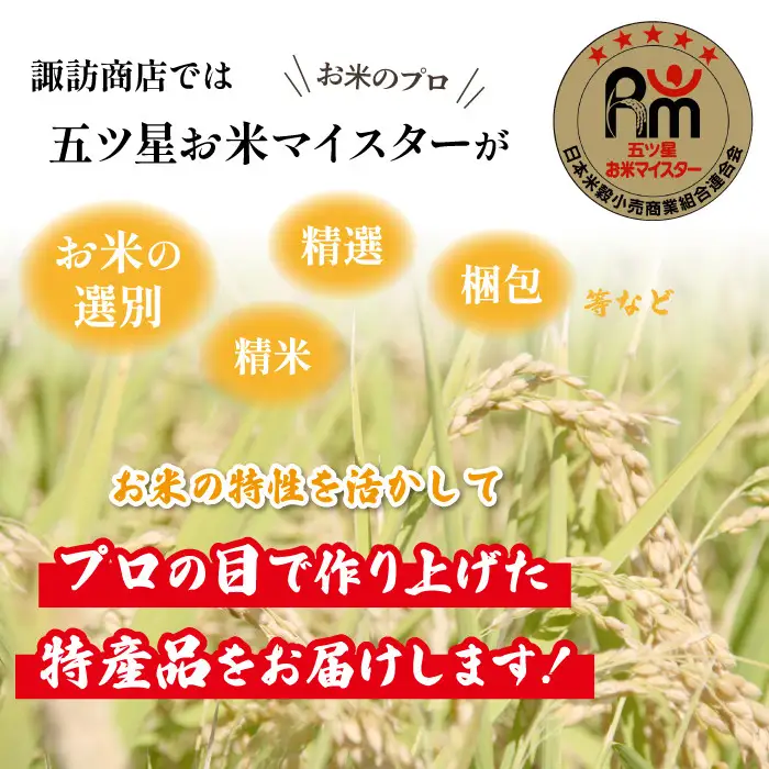 五ツ星お米マイスター 厳選 岩手県産 金銀セット 精米 食べ比べ 総量 6kg 【諏訪商店】 米 こめ コメ 金色の風 銀河のしずく 白米 ご飯 ごはん ライス グルメ 食料 五つ星 5つ星 5ツ星 お米 マイスター 6キロ 2kg 2キロ 国産 県産 プレゼント お取り寄せ 仕送り 人気 おすすめ